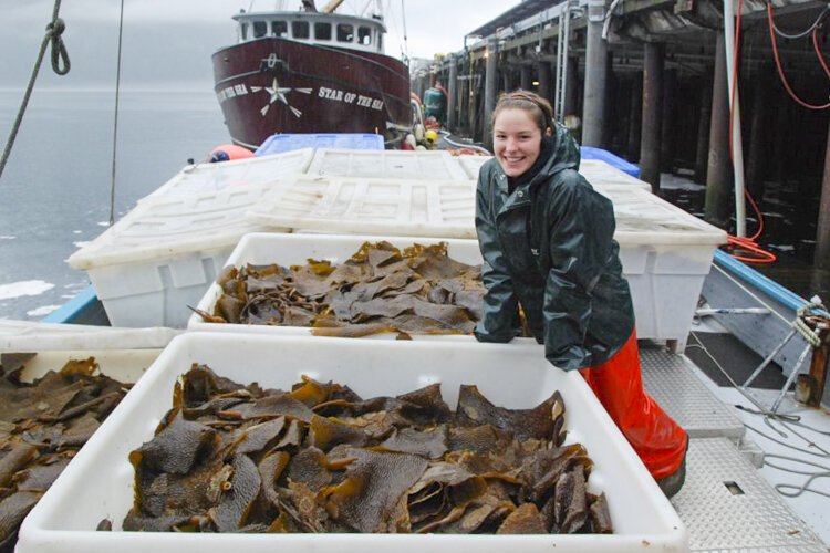 Painesville-based OmegaSea is elevating its game by using Alaskan herring and salmon in place of fishmeal.