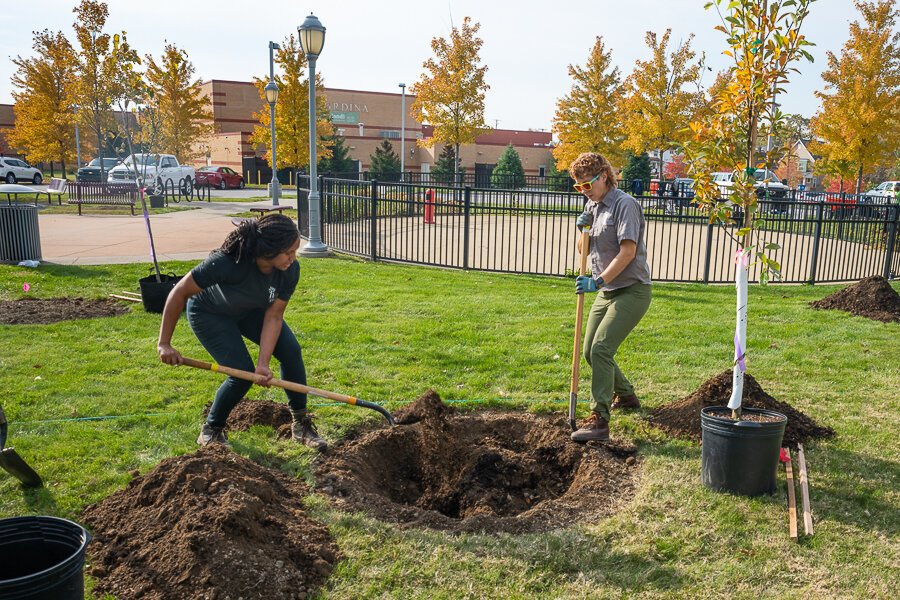 <span class="content-image-text">Holden’s Tree Corps CMHA tree planting on Cleveland’s east side at the Friendly Inn Settlement on Kinsman Rd.</span>