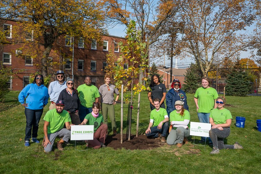 Holden’s Tree Corps CMHA tree planting on Cleveland’s east side at the Friendly Inn Settlement on Kinsman Rd.