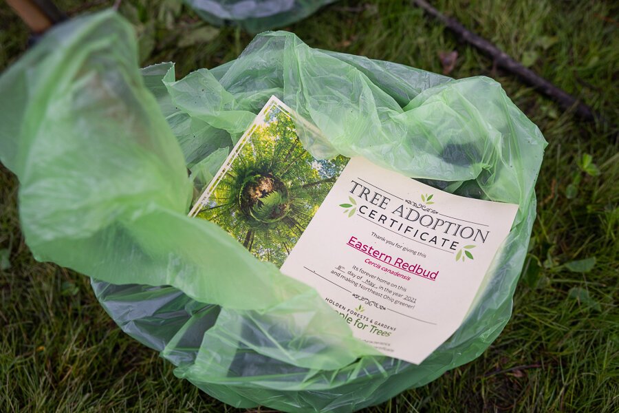 Last May Holden Parks Trust partnered with the Home Repair Resource Center in Cleveland Heights to distribute 233 large potted trees.