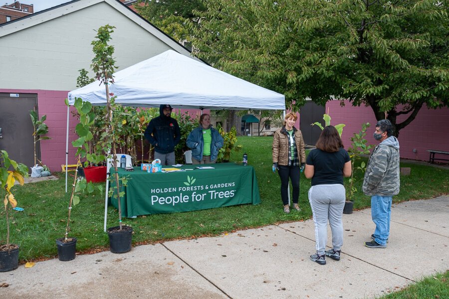 This Fall Holden Parks Trust partnered with La Sagrada Familia Church in Gordon Square to distribute trees.