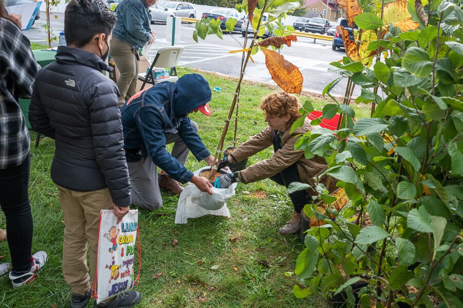 This Fall Holden Parks Trust partnered with La Sagrada Familia Church in Gordon Square to distribute trees.