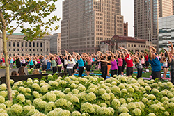 Community Yoga - photo Bob Perkoski