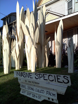 Invasive Species