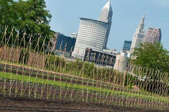 Rockefeller Park Tower Gardens - Photo Bob Perkoski