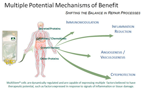 Multi Stem Mechanisms of benefit