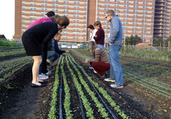 Civic Engagement Boot Camp