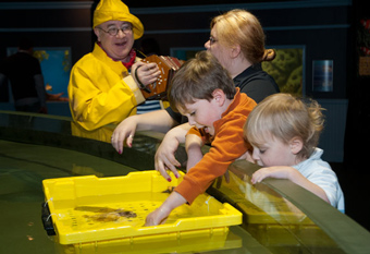 Greater Cleveland Aquarium - Photo Bob Perkoski