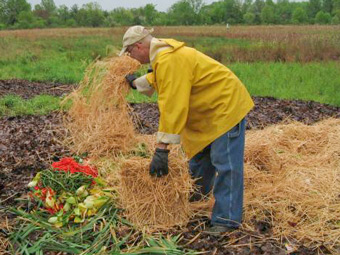 composting