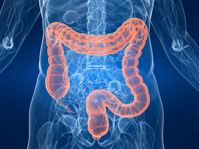 Colorectal Cancer Predicted Risk Online