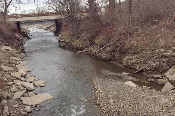 The West Creek Confluence Restoration