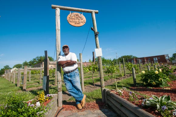 Vineyards and Biocellar of Chateau Hough