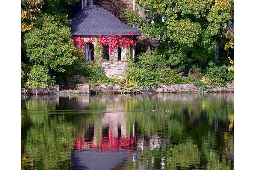 2015: Homes/Buildings First Place—Shaker Lake Ducks, Michael Anne Johnson