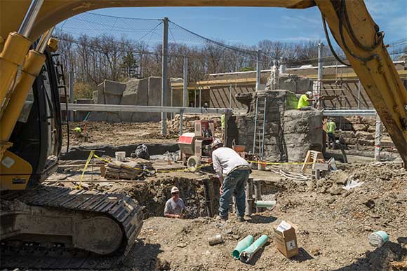 Rosebrough Tiger Passage during construction in April