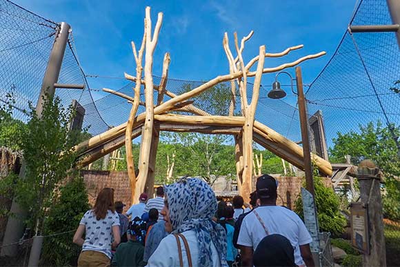 The new Rosebrough Tiger Passage at the Metroparks Zoo