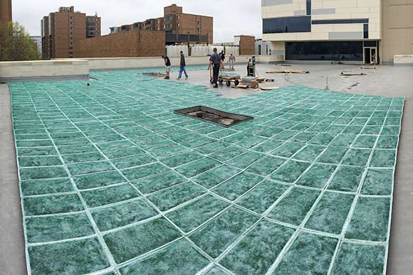 Installing Cleveland Institute of Art’s green roof