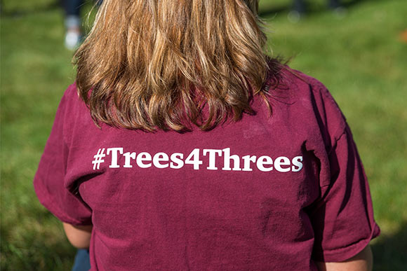 trees_for_threes_392.jpg