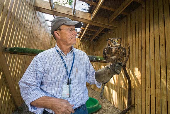 Harvey Webster, CMNH director of wildlife resources with one of the great horned owls