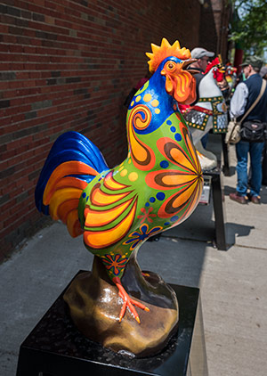 <span class="content-image-text">Year of the Rooster 2017</span>