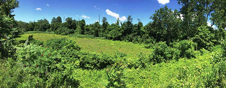 <span class="content-image-text">Site of the Morgana Bluff Nature Preserve Learning Center.</span>