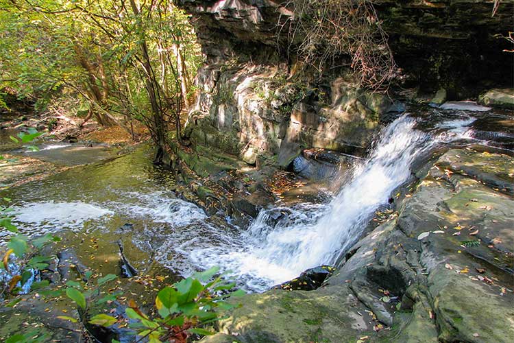 Doan Brook Gorge