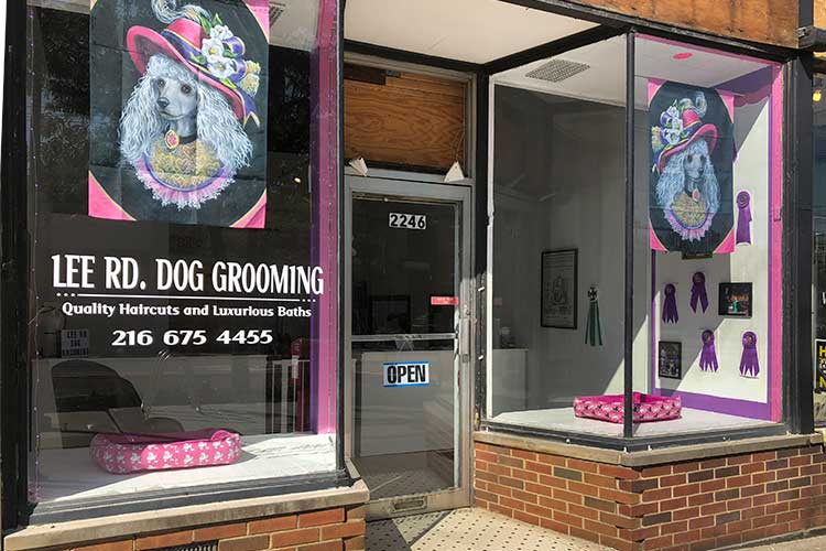 Lee Road Dog Grooming