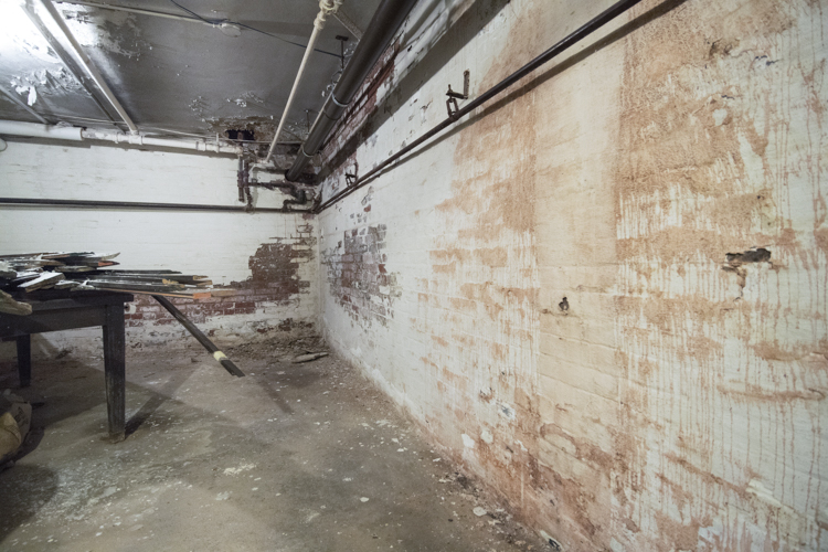 Painter Mansion basement interior