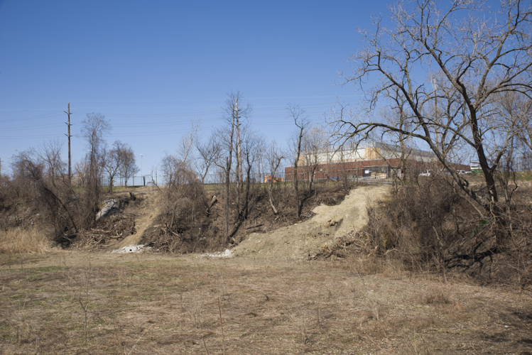 Morgana Bluffs Wetland, north side
