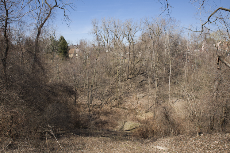 Burke Branch Whittlesey village site, Raus Playfield