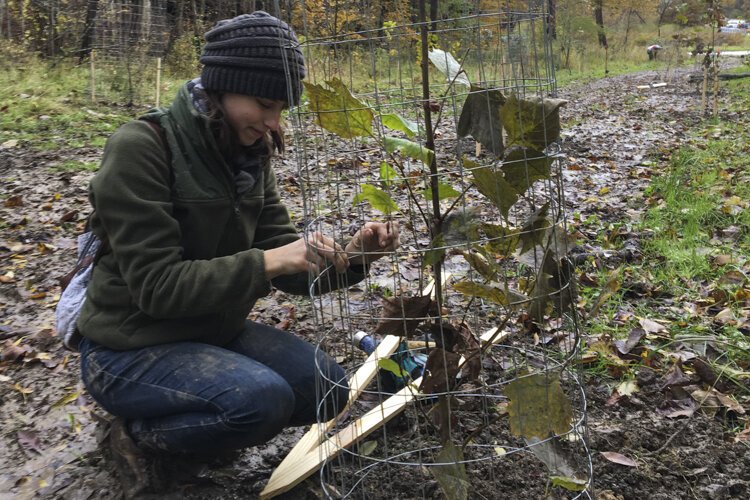 <span class="content-image-text">Emily Brown volunteers around the community, here seen planting a tree.</span>