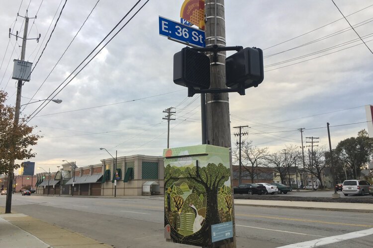 The utility box wrap at East 36th Street and Payne Avenue, titled “Sakuya-Hime” by Kathleen Marcotte.