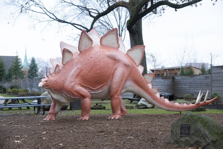 The Stegosaurus outside of the Cleveland Museum of Natural History.