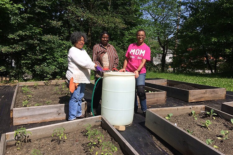 The city of Cleveland's Summer Sprout program empowers people who want to start a community garden.