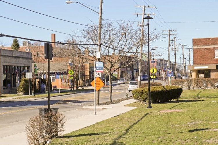 Cedar-Lee-Meadowbrook plan