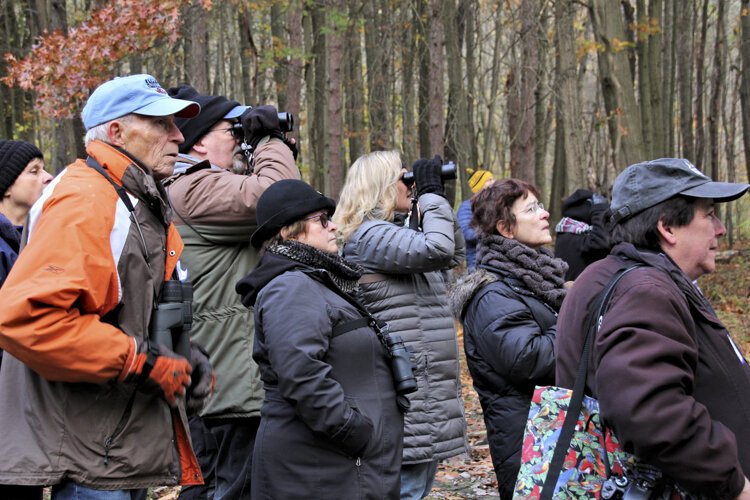 Western Cuyahoga Audubon Society Urban Birding With David Lindo at Cleveland Metroparks Rocky River Reservation.