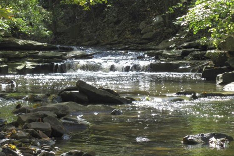 Sandwiched between the hard sandstone and softer shale of Doan Brook's bluestone gorge in Ambler Park are hidden treasures, including small waterfalls.