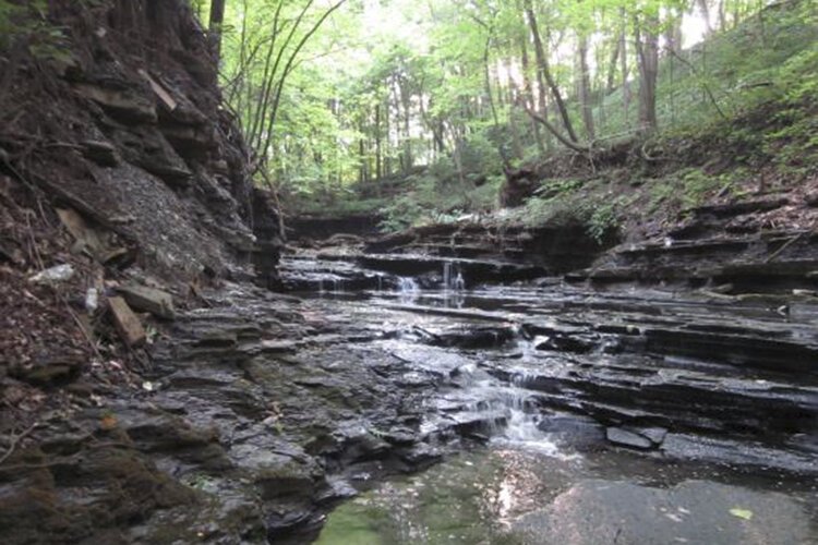 Put your boots on if you're going to explore the Dugway West Branch siltstone gulch, inside Lake View Cemetery.
