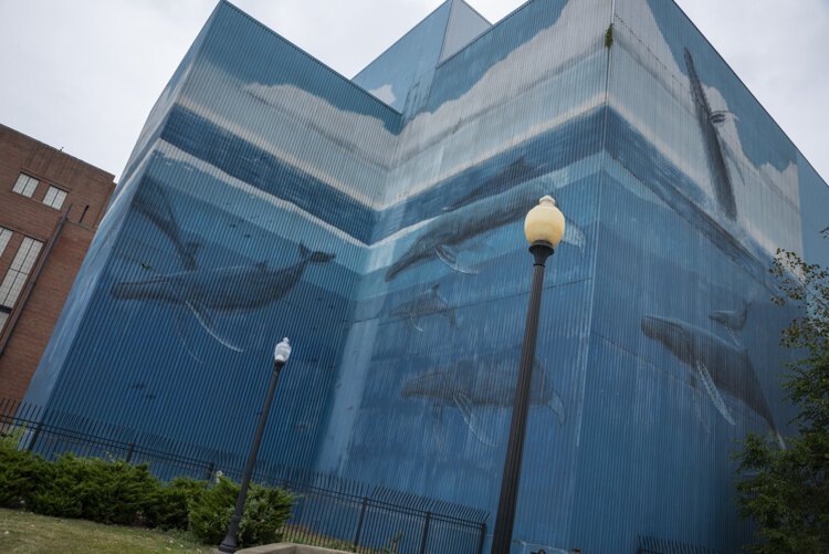 The now-faded mural gets new life this week by artist Wyland.