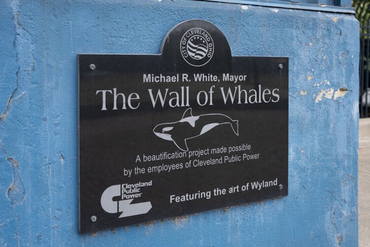 Wyland will be working on the mural, which was first dedicated in 1997 by then-Cleveland Mayor Michael White, this week through Saturday, Oct. 2.