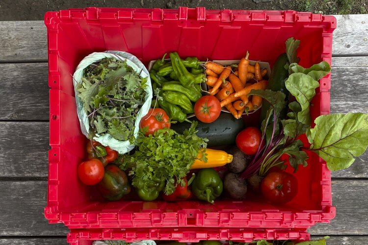 Ohio City Farm produce