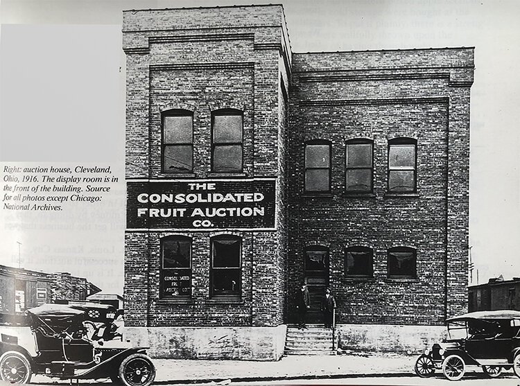 Consolidated Fruit Auction 1916