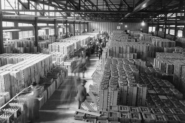 <span class="content-image-text">Rows of produce and other goods fill the inside the Northern Ohio Food Terminal in 1929.</span>