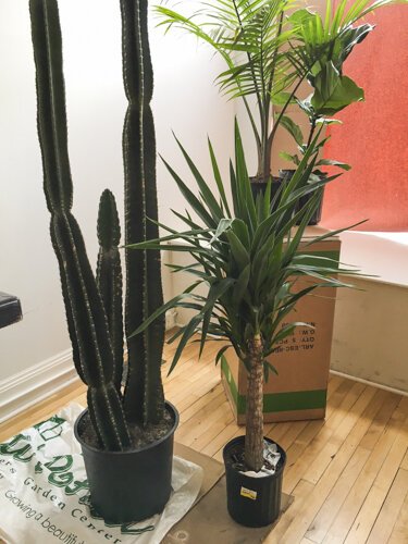 Though the restaurant won’t open until late 2020, visitors to the new Six Shooter coffee shop will get a taste of the Tex-Mex flavor via the décor.