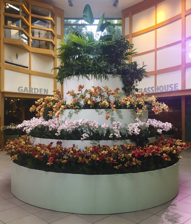 Guests are welcomed into the Orchid Mania event with a large display of various orchids.