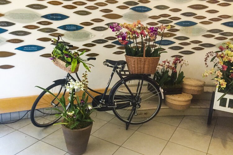 The exhibit features many creative arrangements of orchids such as this display placed on a bicycle.