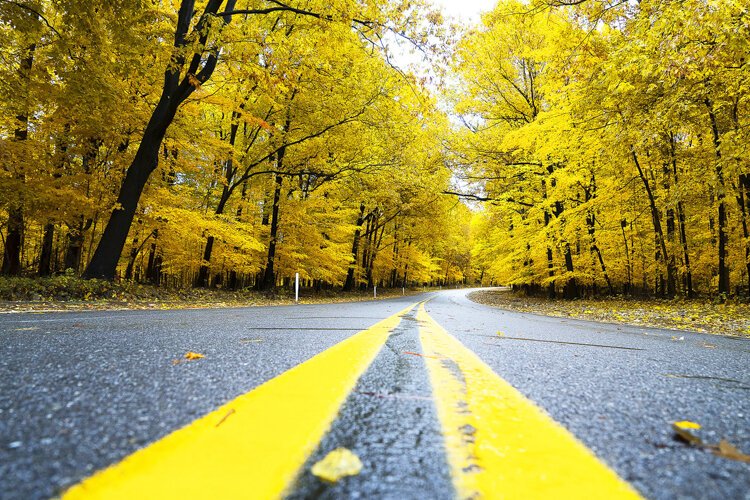 Zoom background photo by photographer Andy Lash