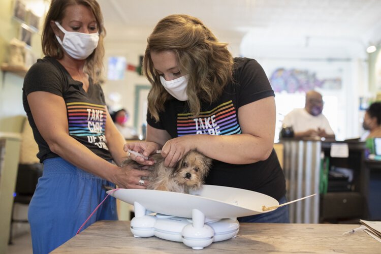 Neighborhood Pets works to keep pets with their human companions by providing low cost medical care, free neutering and spaying, affordable food and supplies, and other services to pet owners.