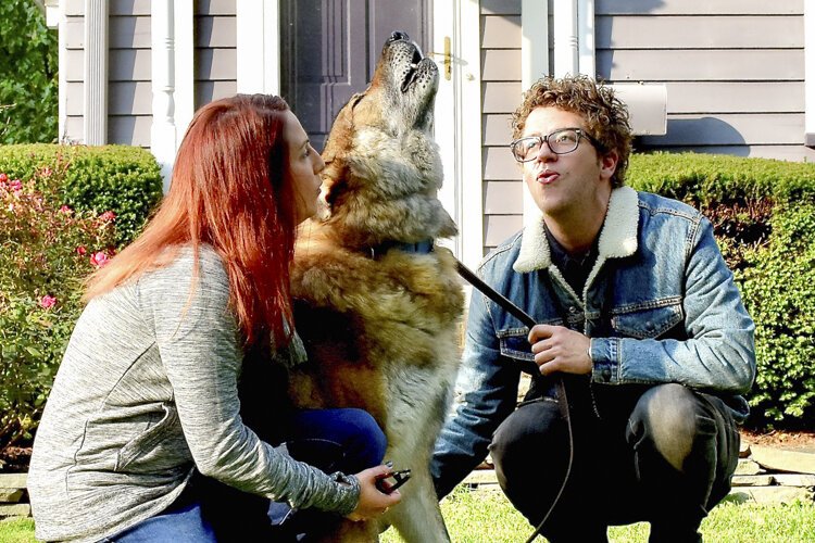 Dave Lucas and Amy Keating, with their German shepherd/malamute dog Dagwood.