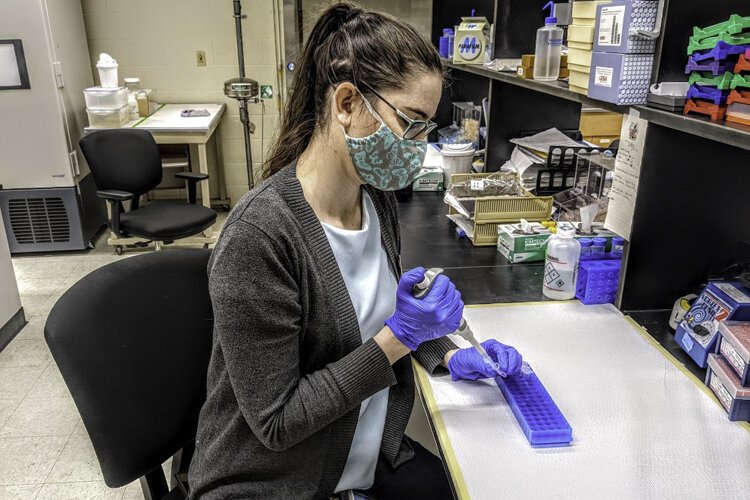 <span class="content-image-text">Nicole Gunter studies dung beetles at the Cleveland Museum of Natural History.</span>