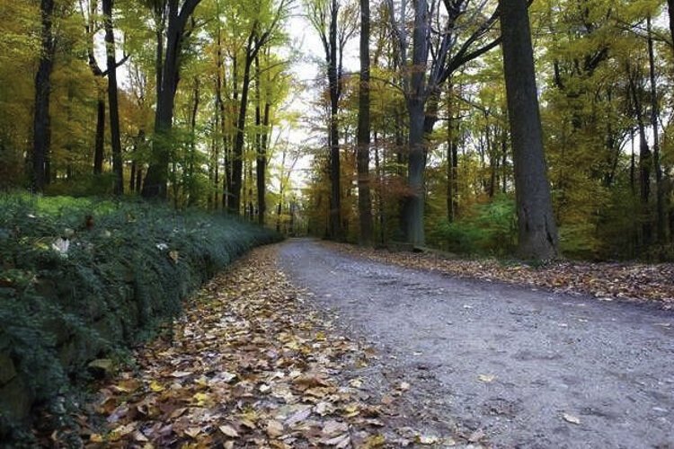 The drive leading to Hubbell’s house known as Playmore.